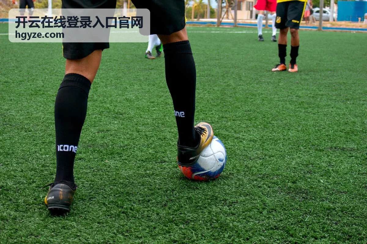 开云在线登录入口官网 账号安全与验证说明